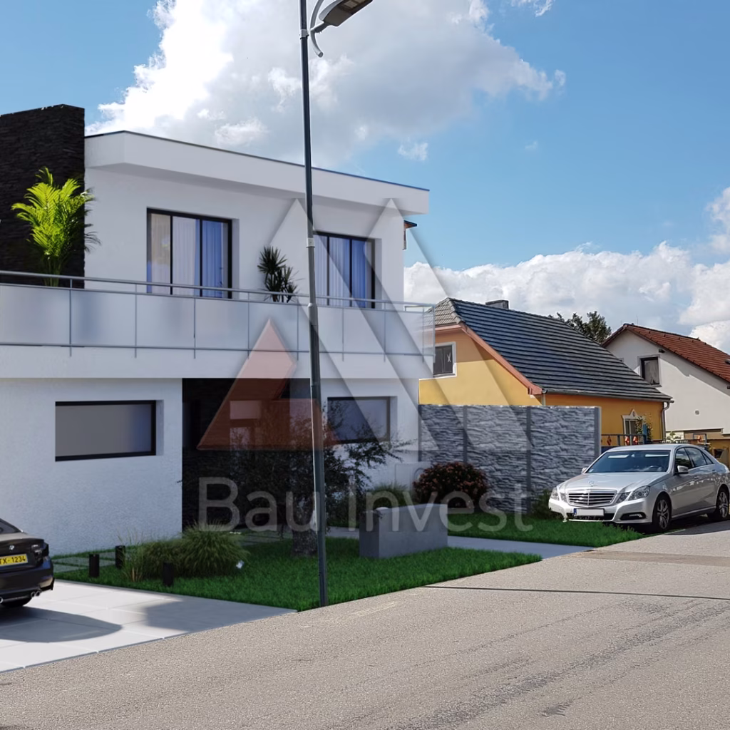Haus Nickelsdorf, 3D-Visualisierung: Straßenansicht mit Einfahrt