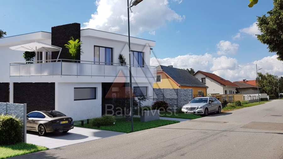 Haus Nickelsdorf, 3D-Visualisierung: Straßenansicht mit Einfahrt
